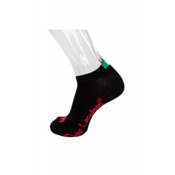 Ponožka nízká