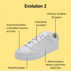 Evolution2_4