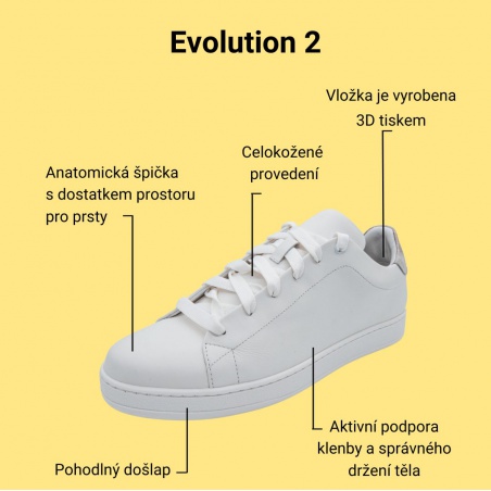 Evolution2_4