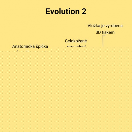 Evolution2_4